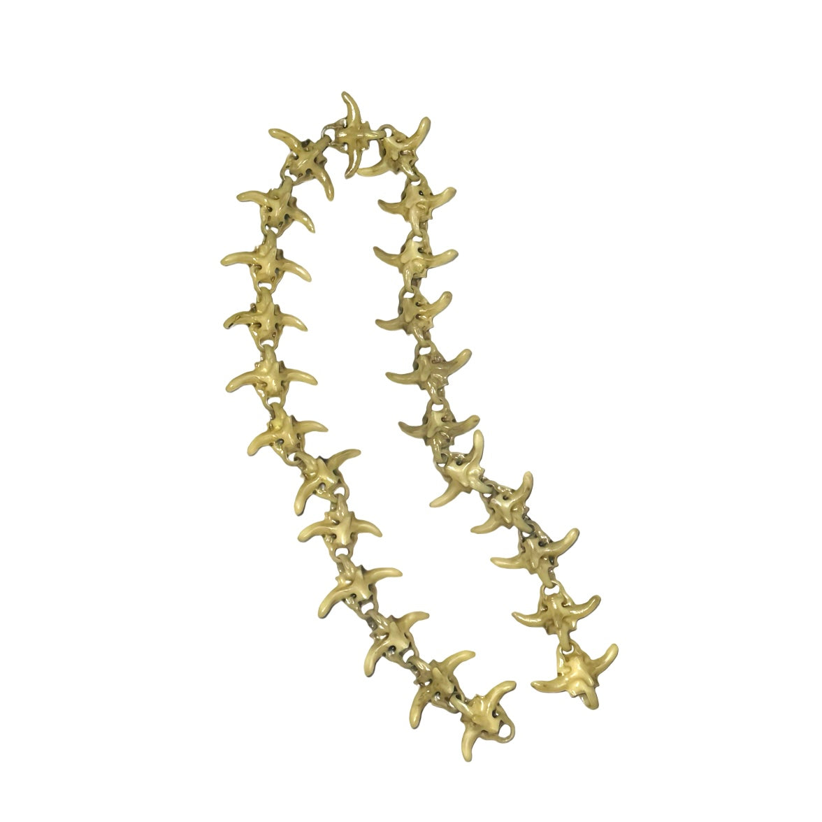 AVVVVV "Spine" Wallet Chain